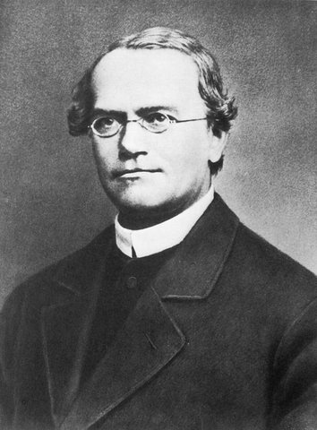 Portrait of Gregor Johann Mendel