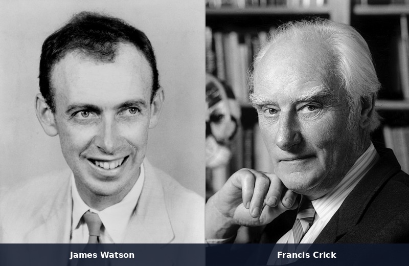 Portrait of James Watson & Francis Crick